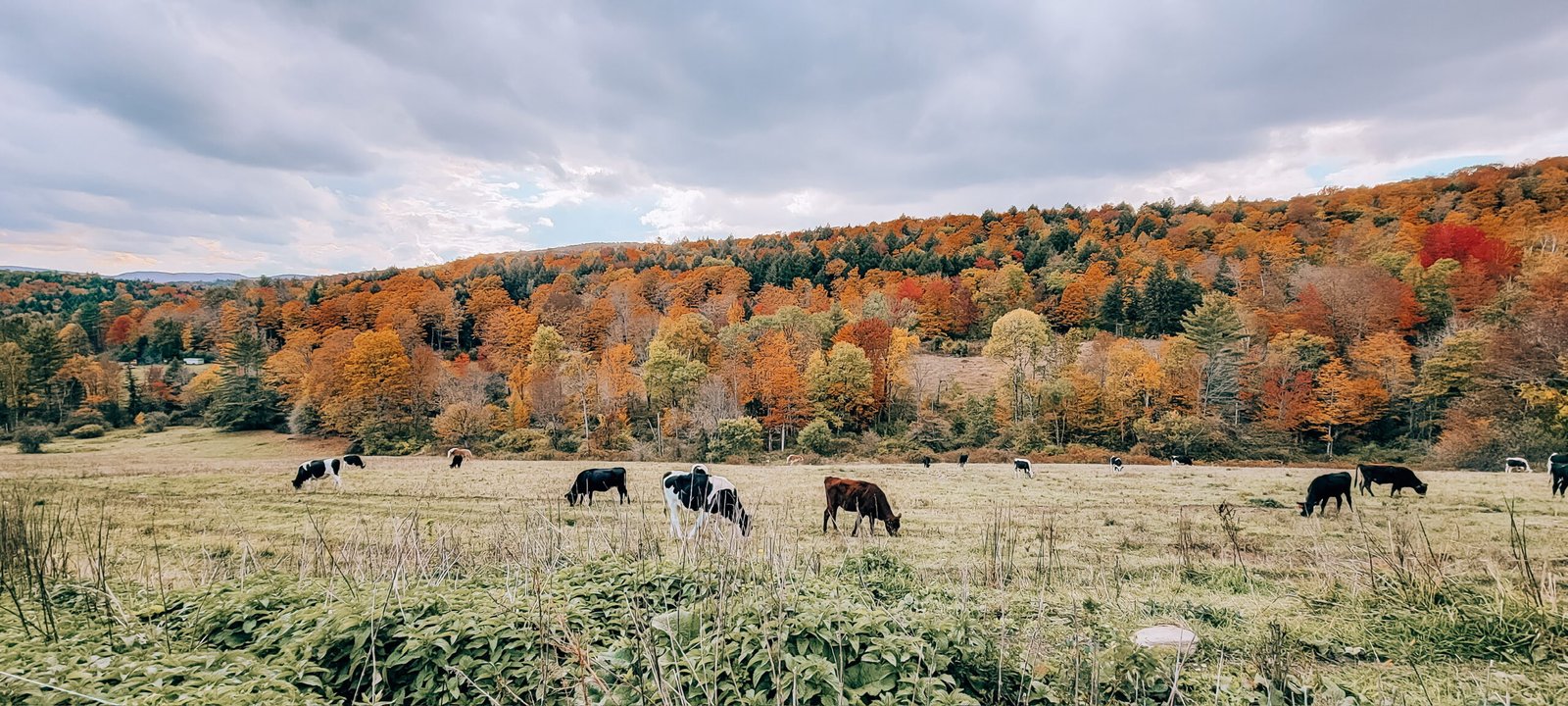 My 2025 Travel Year in Review | The journeys that shape how I plan for you