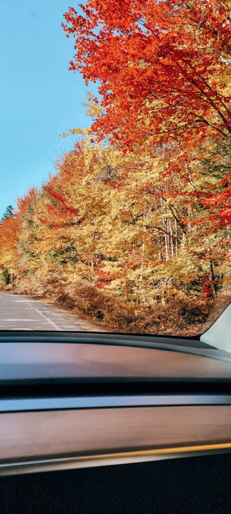 Insider’s Guide to Morocco