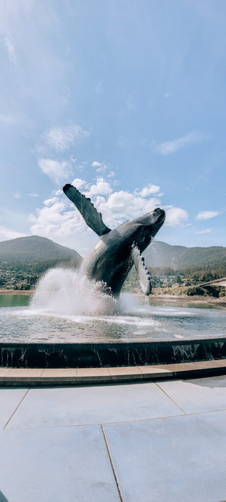 Insider’s Guide to the Galápagos Islands