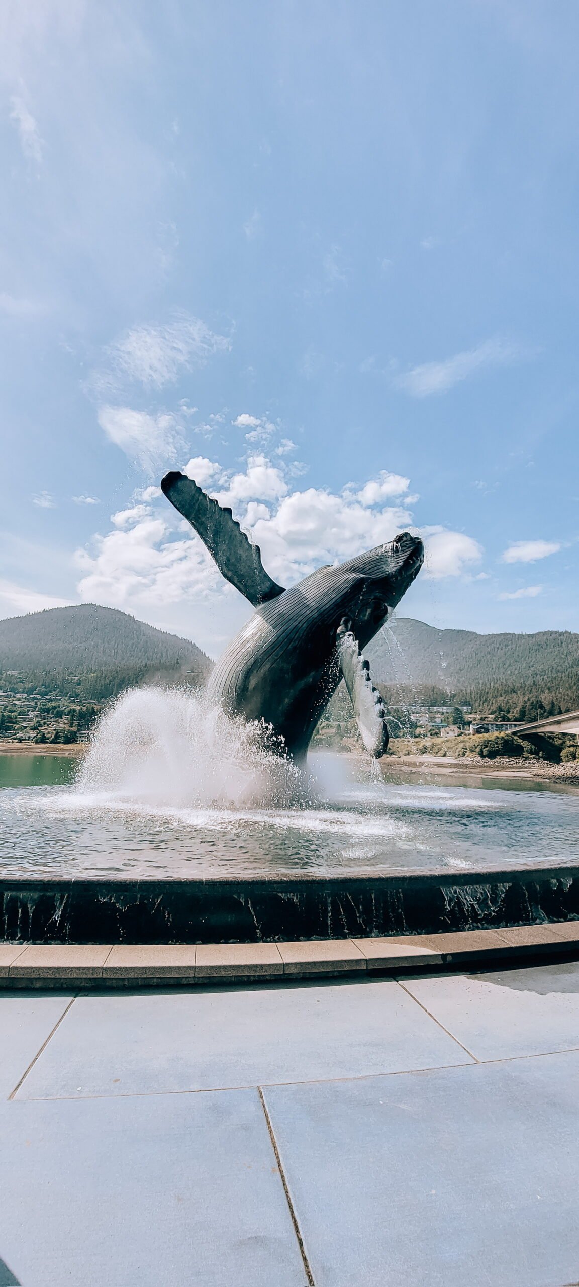 Insider’s Guide to the Galápagos Islands