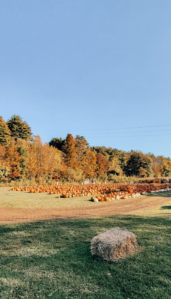 Destination Debrief: Kenya