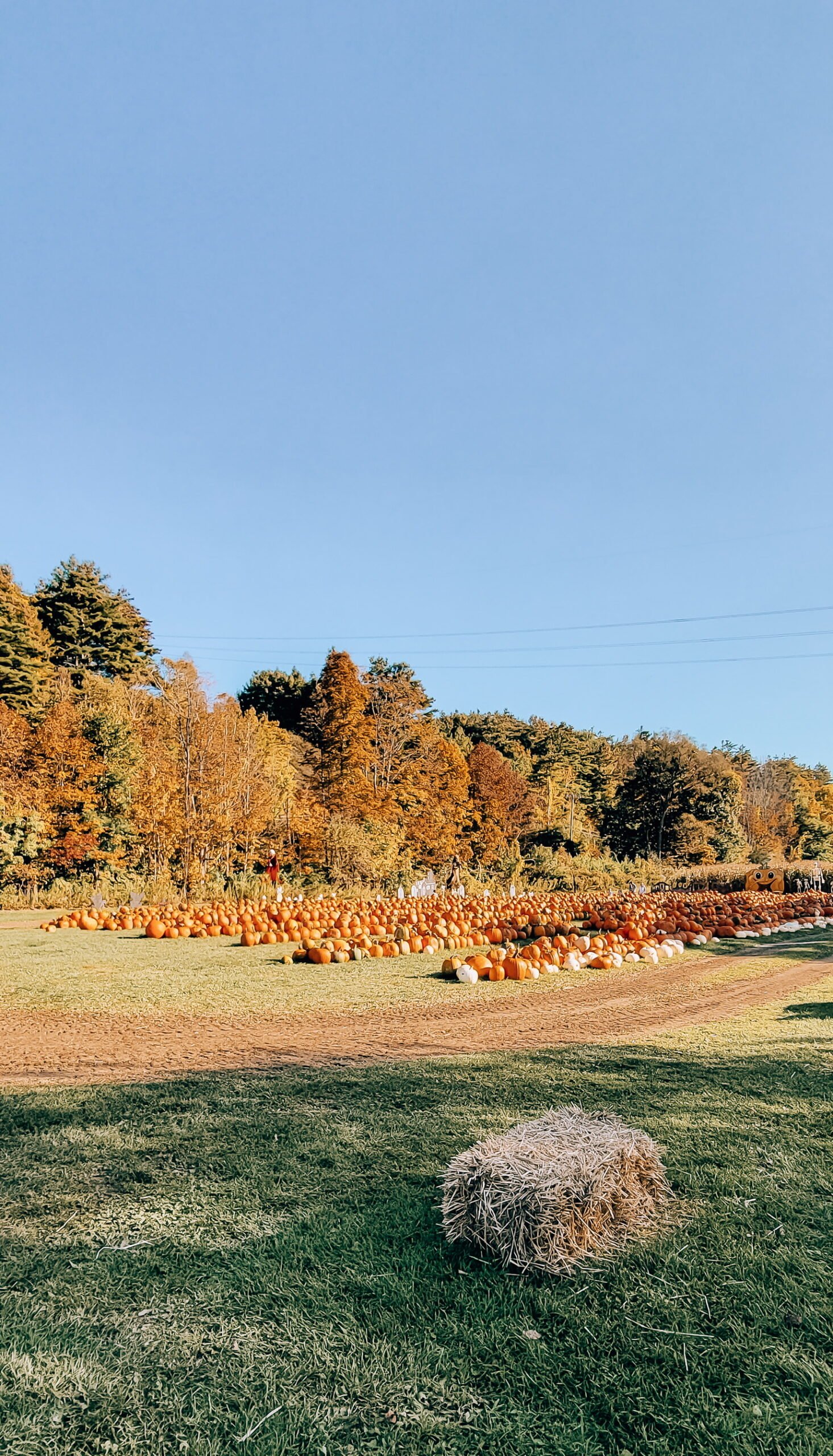 Destination Debrief: Kenya