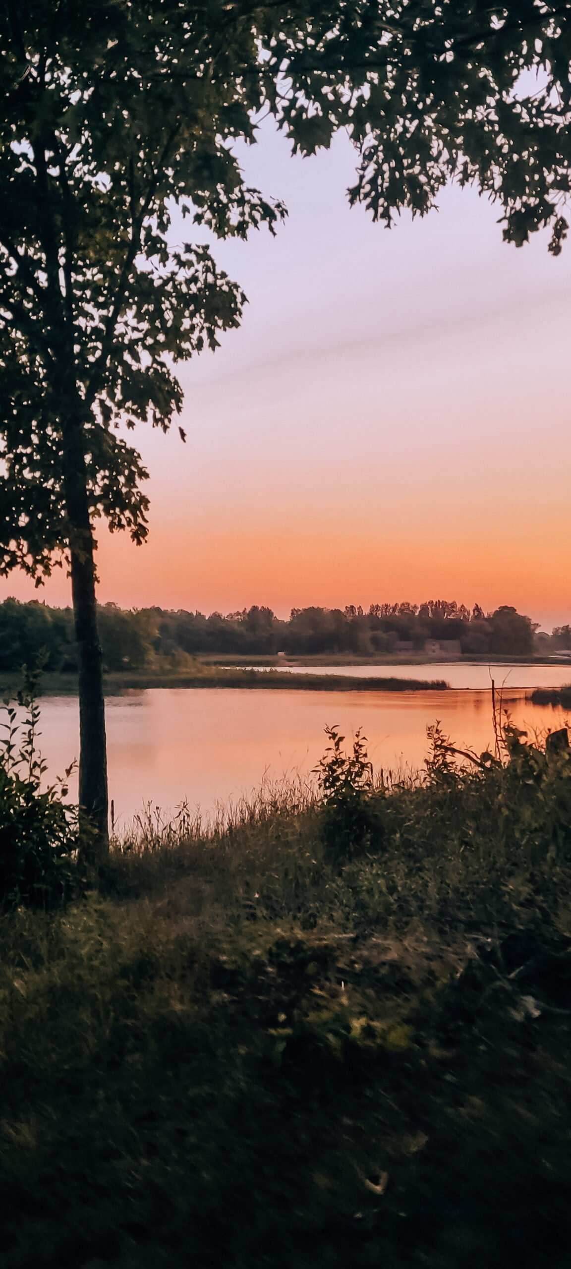 Insider Picks for Hotels Under $500 in Kyoto