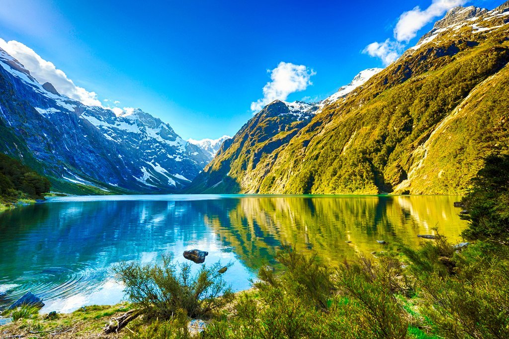 A Serene View Of New Zealand