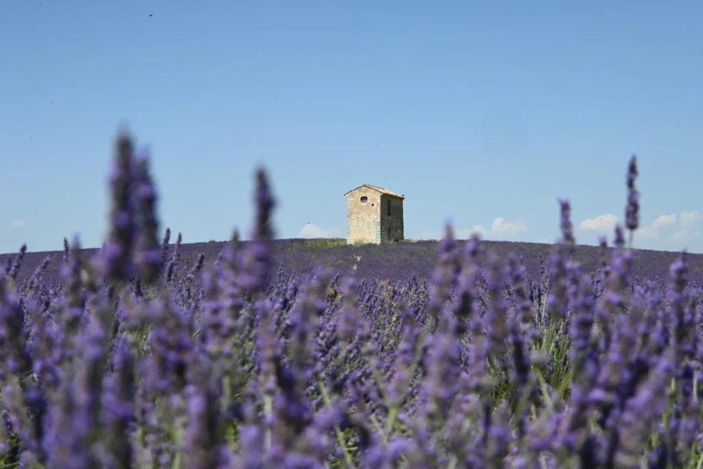 Destination Debrief: Tuscany