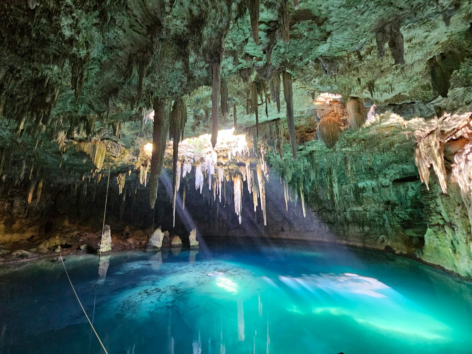 A blue pool in a cave with icicles hanging from the trees, Cenote XCANAHALTUN, Temozón, Yucatan, Mexico