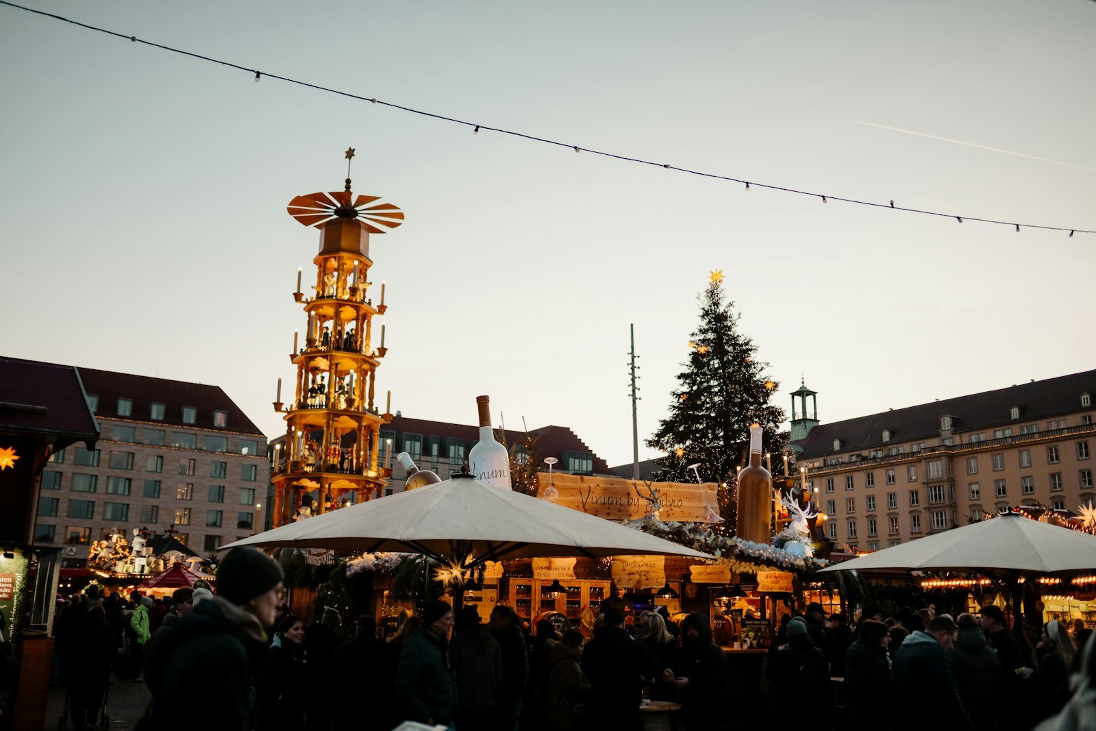Christmas market stalls and festive tree, Dresden, Germany