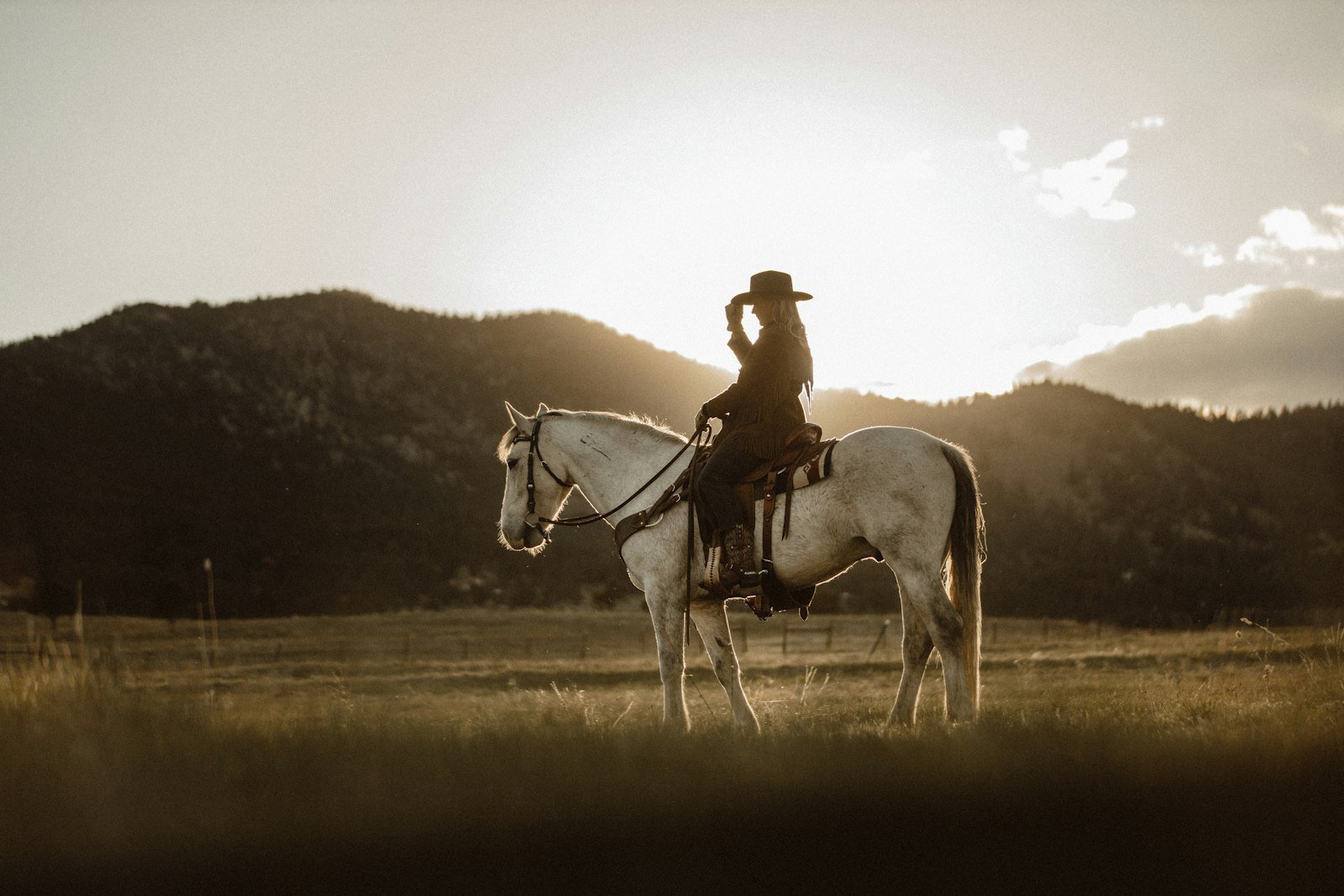 Rider on a white horse in the Colorado mountains