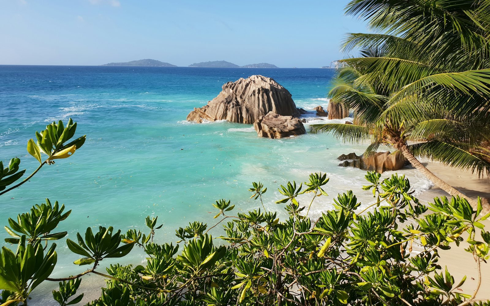 Large granite rocks and palms on La Digue, Seychelles
